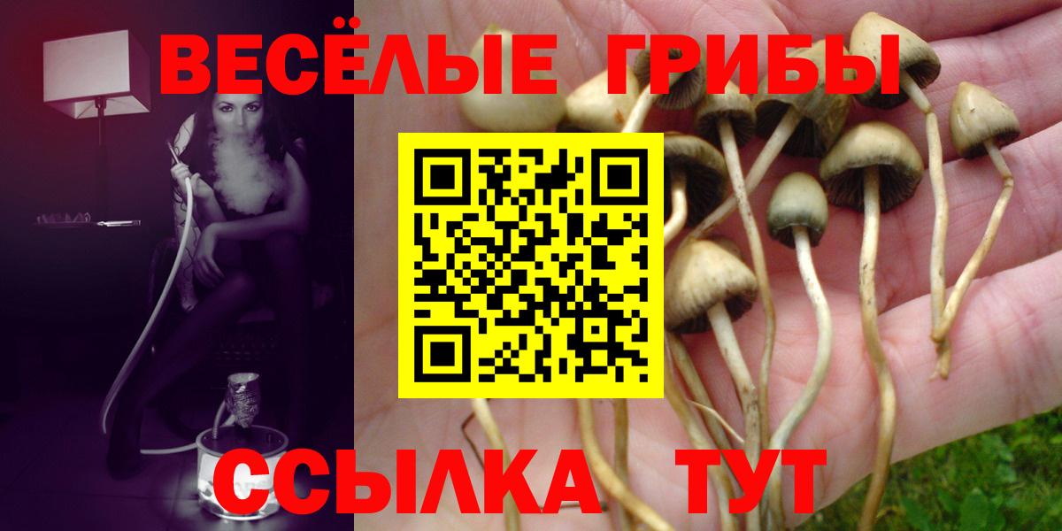 Псилоцибиновые грибы GOLDEN TEACHER Камышин